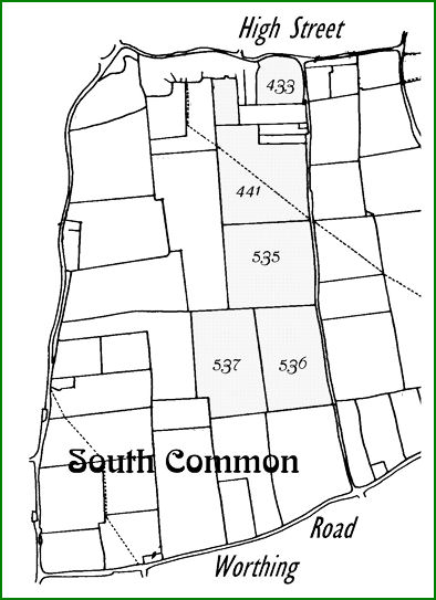MAP 29